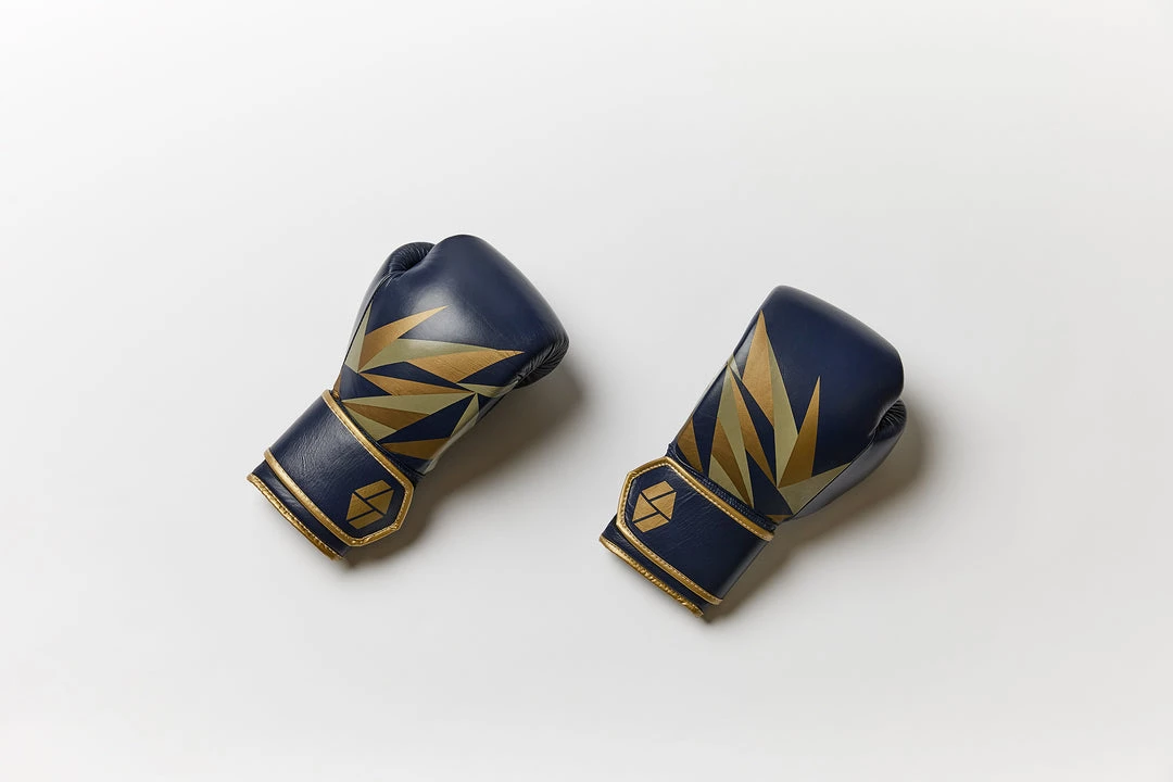 Society Nine Bia Boxing Gloves 10 Society Nine Bia Boxing Gloves