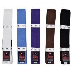 Fuji Adult BJJ Belt