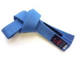 Fuji Adult BJJ Belt 10 Fuji Adult BJJ Belt