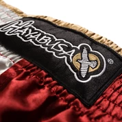 Hayabusa Elephant Muay Thai Shorts 13 Hayabusa Elephant Muay Thai Shorts
