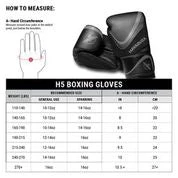 Hayabusa H5 Boxing Gloves 38 Hayabusa H5 Boxing Gloves