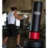 Ringside Elite Free-Standing Fitness Punching Bag Training Pads And Heavy Bags