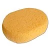 Accessories Ringside Training Sponge