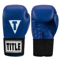 TITLE Masters USA Boxing Competition Gloves - Elastic
