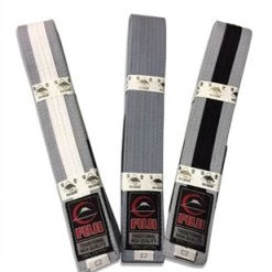 Gi's And Belts Fuji Child BJJ Belt With Stripes